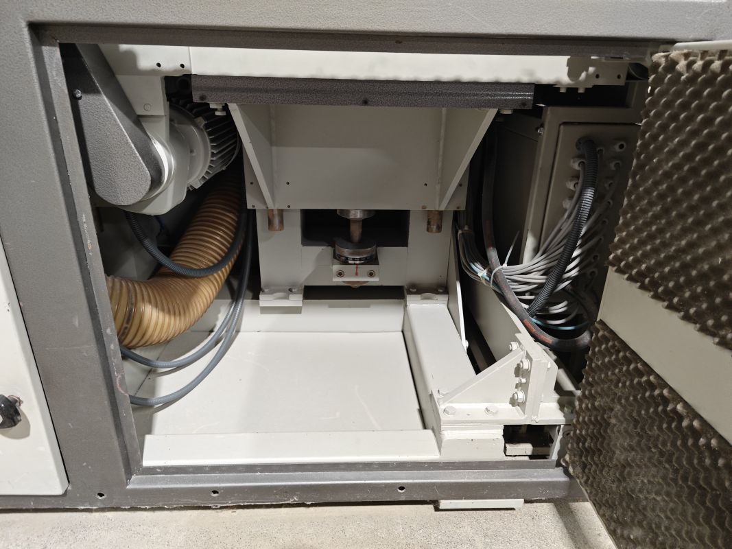 grinding machine / Löwer / DSM 3000