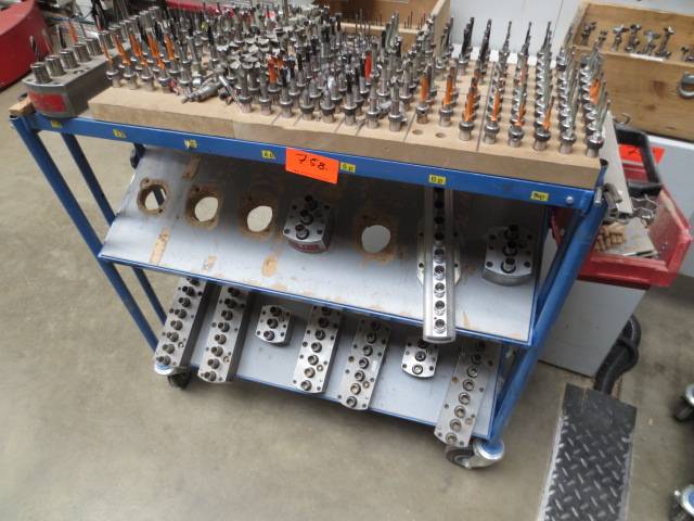 Drilling Line with Stacking System /  / Biesse / Wamhoff