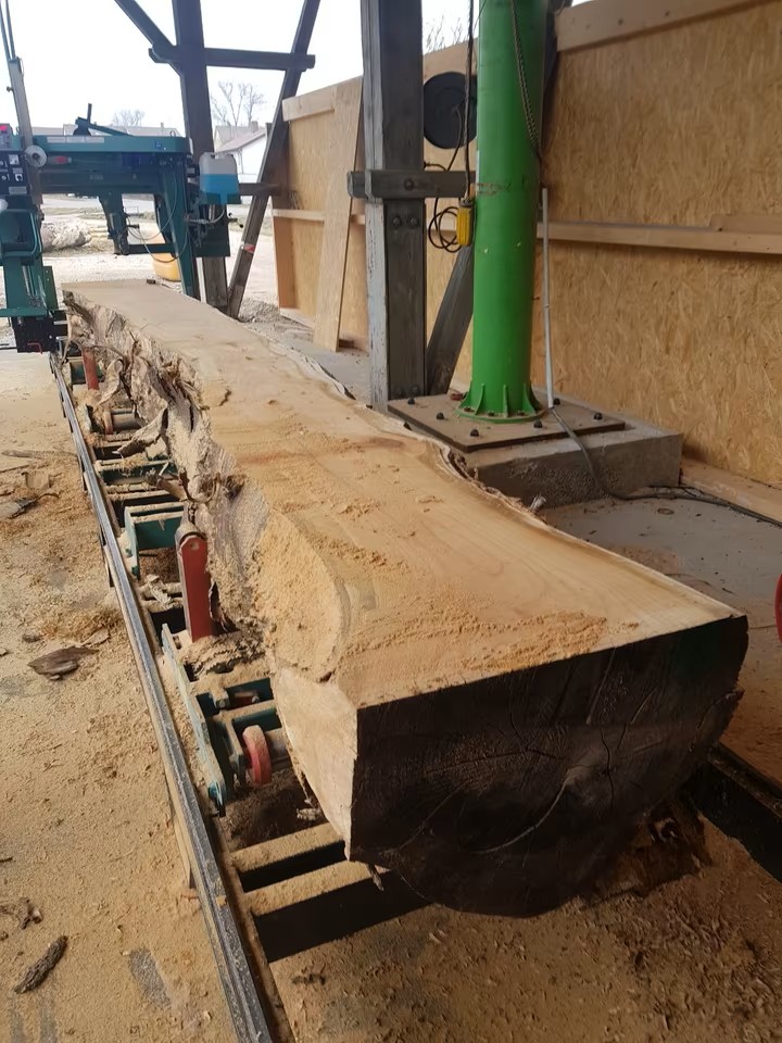complete log band sawmill with double edger and wood excavator / Winter / 